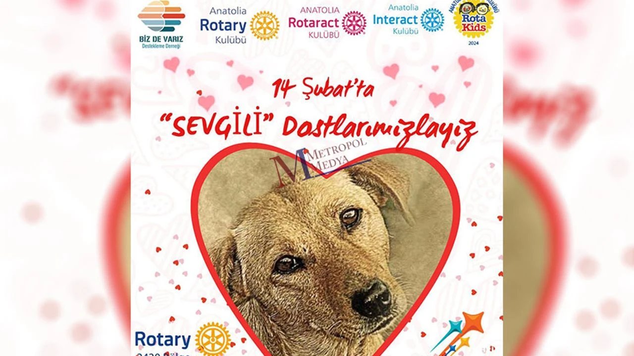 Bizim Sevgililerimiz Patili Dostlarımız